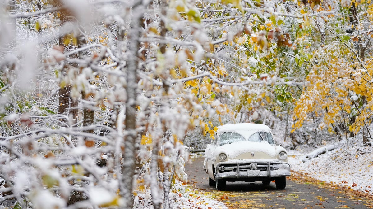 Frosty fall leaves and snow-covered skeletons. See photos of first US snowfall.