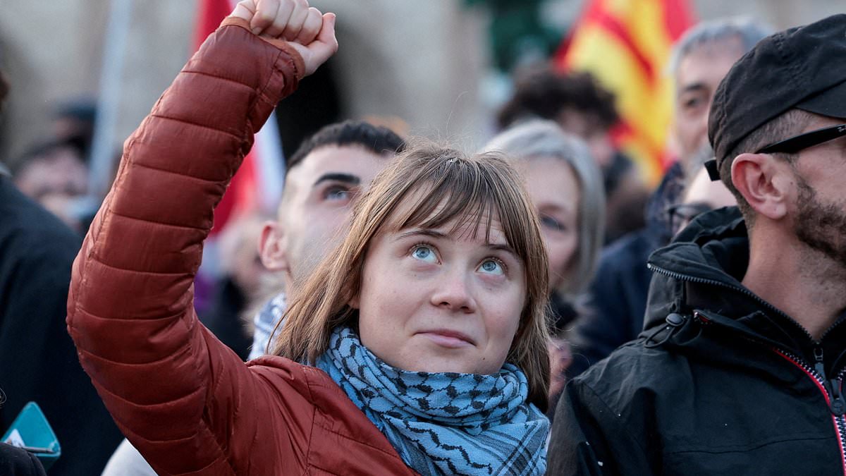 Greta Thunberg launches tirade at Italian government at Rome protest