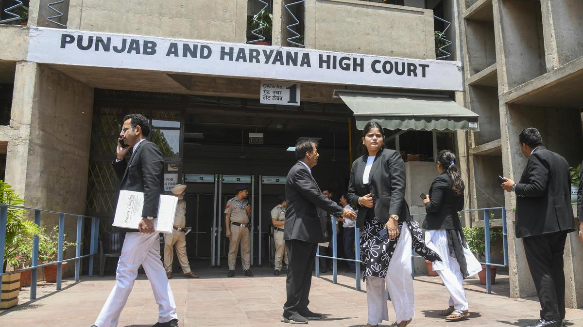 HC slams action against doctor for not standing on Haryana MLA's arrival in emergency ward