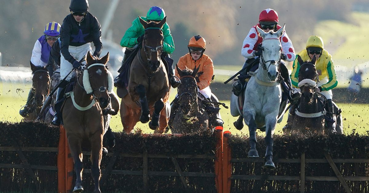 'She is 3lb lower today and that augers well for her chances' - Jason Heavey's Tuesday tips - Daily Star