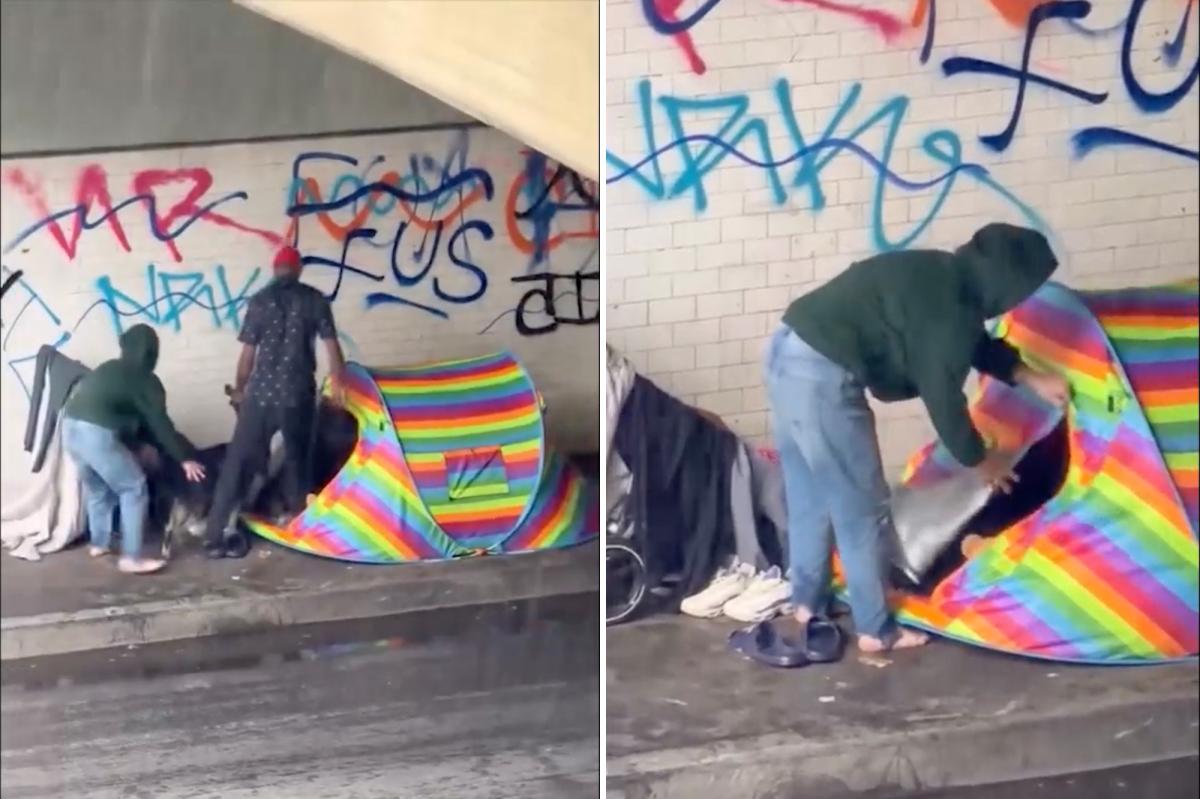Dog screams in pain as homeless man drags it into tent near Skid Row