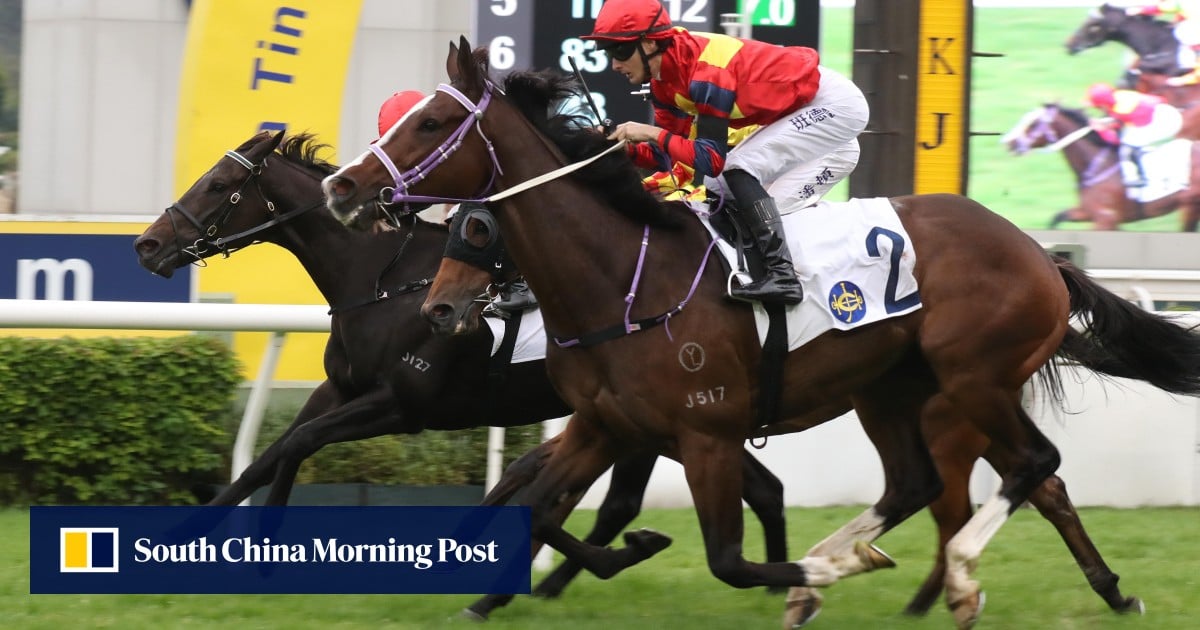 Group One tilt on the cards as Hong Lok Golf gets back on track in style