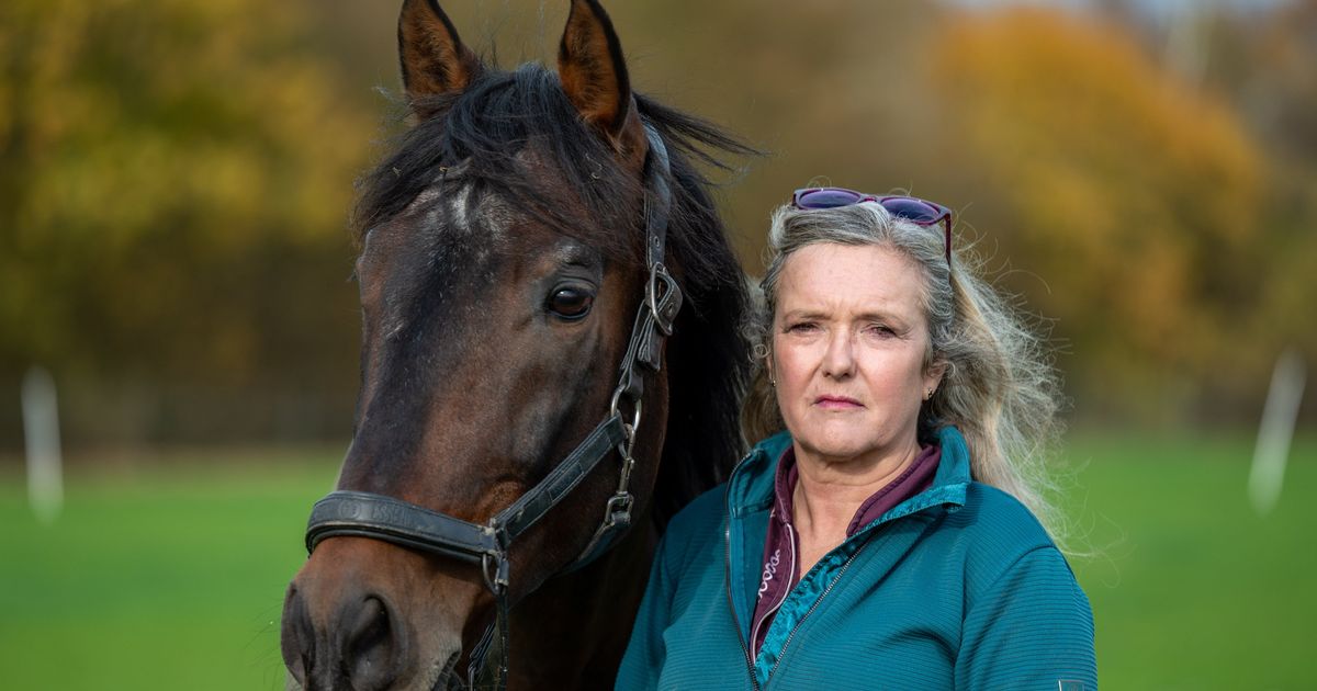 Horse breeder near 'racing HQ' baffled by noise complaint over 'constant neighing' - Daily Star