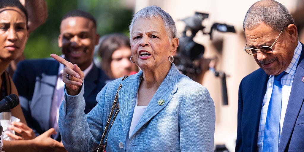 Another House Dem drops out of 2026 rat race as party faces generational reckoning