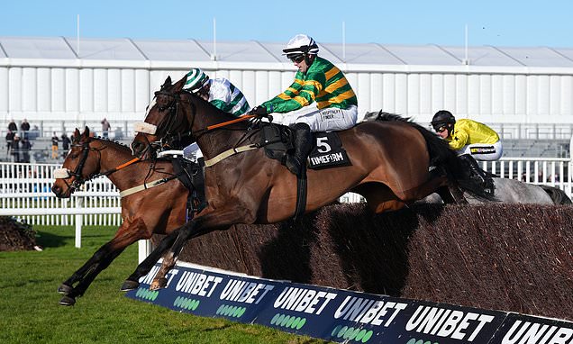 Ground conditions put paid to Jagwar´s Cheltenham bid