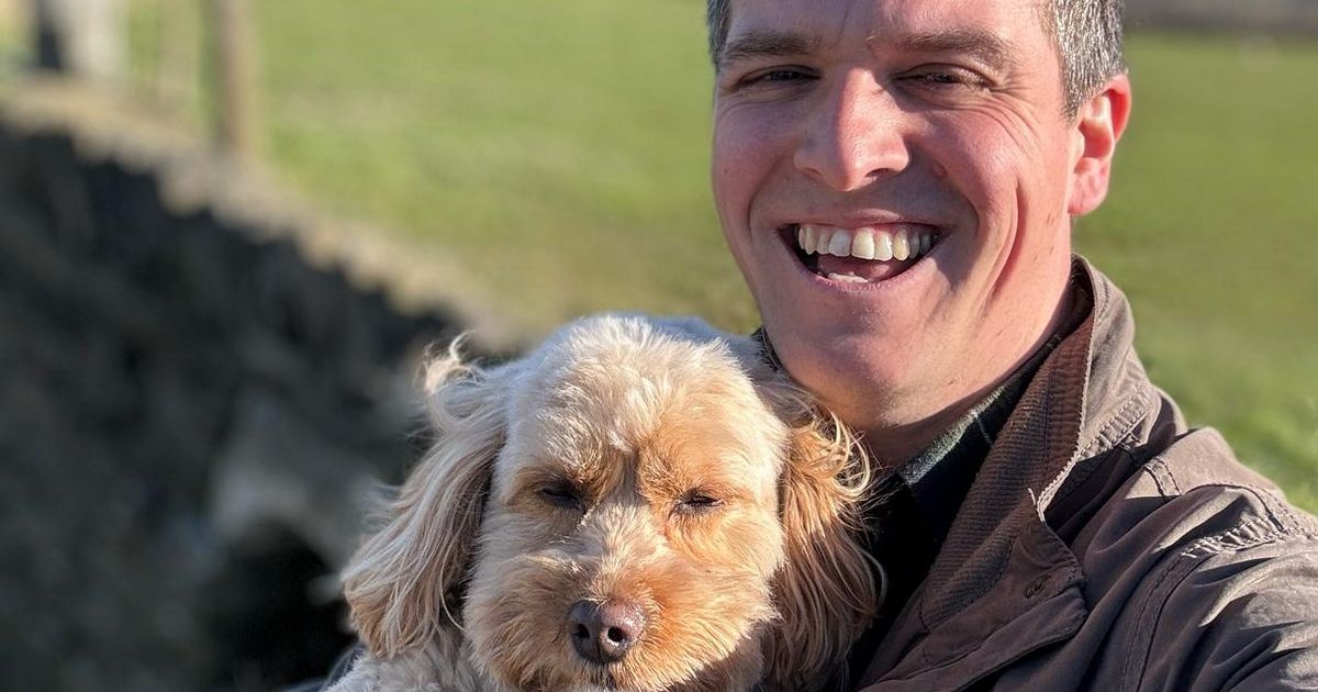 Yorkshire Vet star Matt Jackson-Smith shares simple tips to keep dogs calm on Bonfire Night - The Mirror
