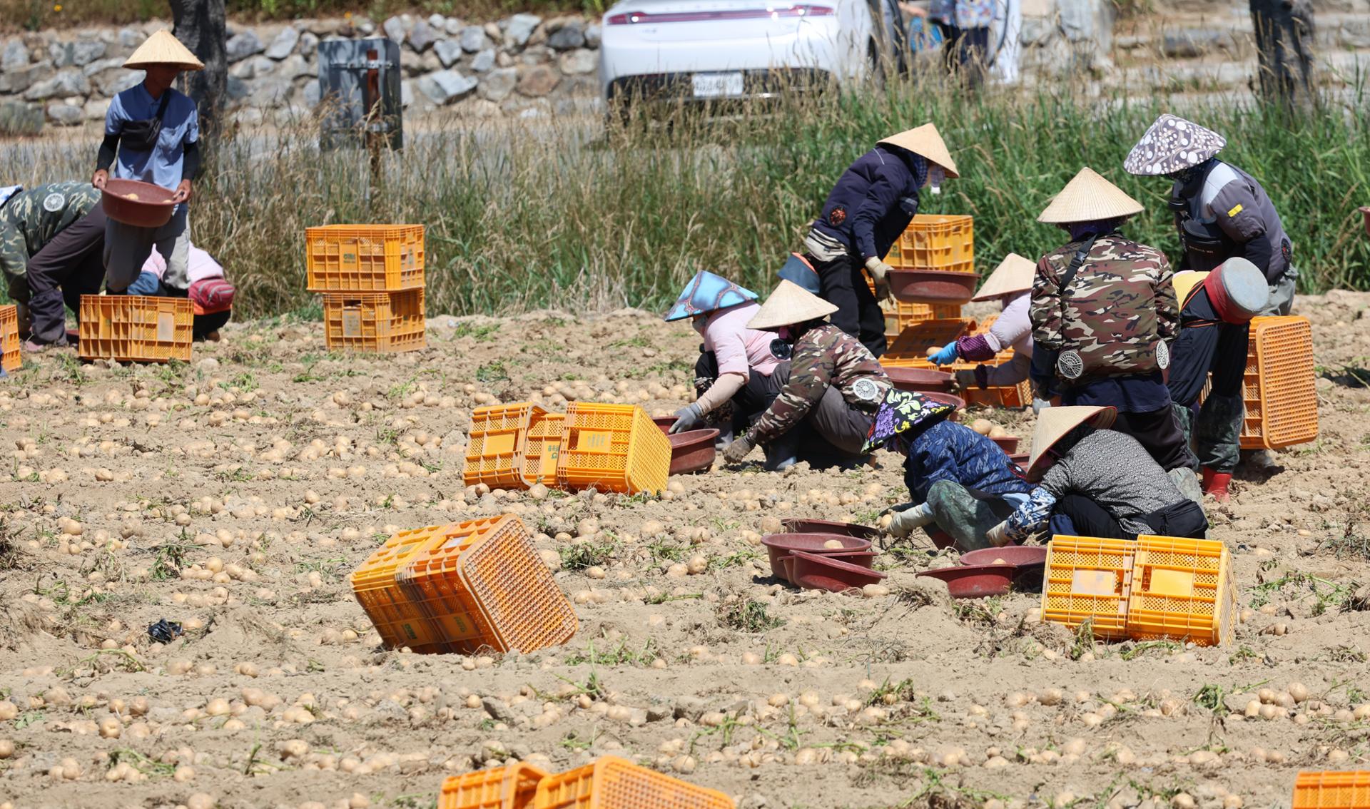 Nearly half of SMEs seek more foreign workers amid labor shortages - The Korea Times