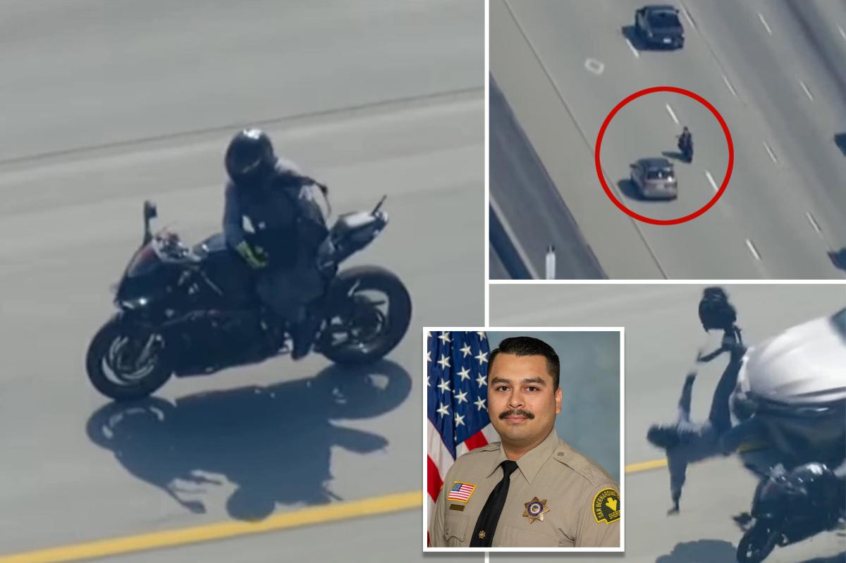 Suspected LA cop-killer who had gnarly caught-on-video motorcycle...