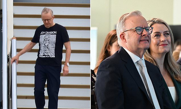 Most Australians have had enough of Anthony Albanese