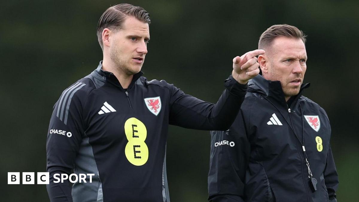 Liechtenstein v Wales: Piet Cremers steps up in Bellamy absence