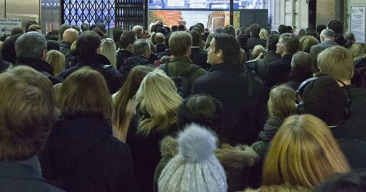 London travel chaos as person killed by train and major tube line suspended