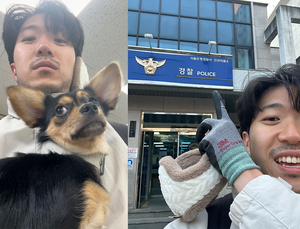 A dog on the loose - and a morning rescue that became something more