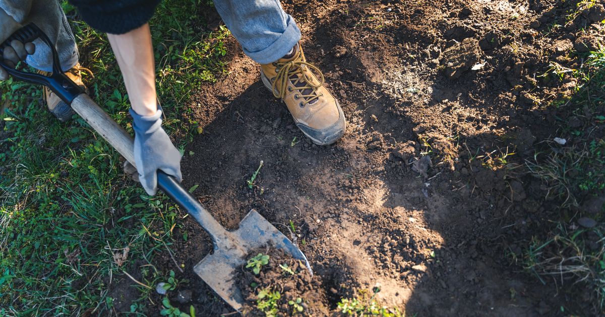 Man finds mystery box in garden and decides to contact police - The Mirror