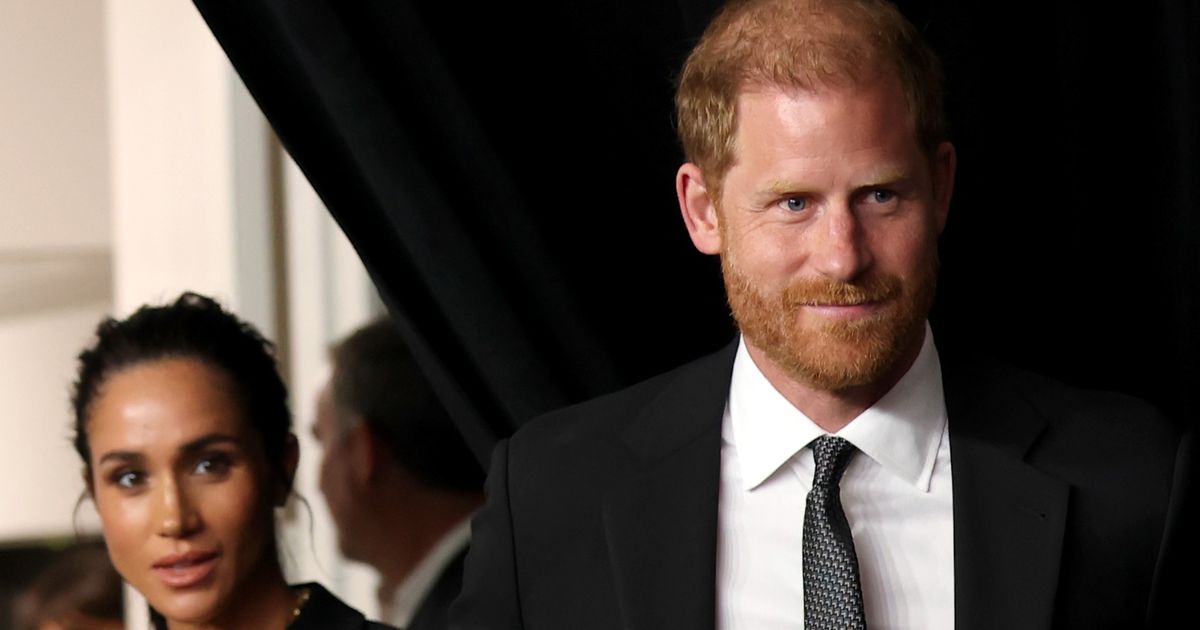 Meghan Markle's 'growing divide' with Prince Harry amid 'toxic' feud - The Mirror