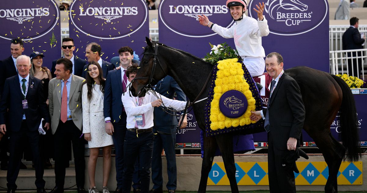 Willie Mullins lands stunning victory in £3.8 million Breeders' Cup Turf with first runner - The Mirror