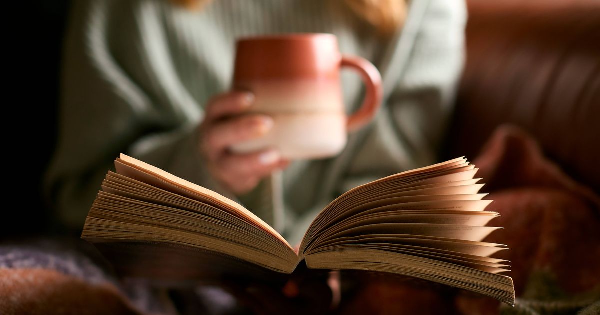 The 11 best new books you need to read before Christmas - The Mirror