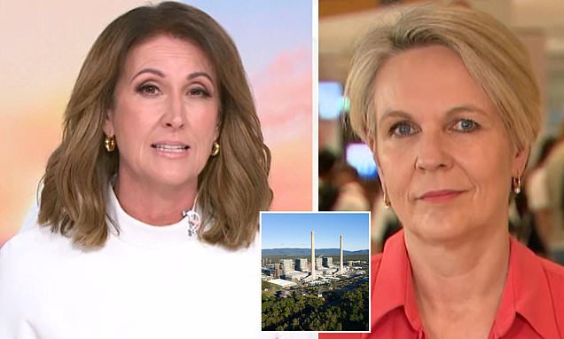 Nat Barr unleashes at the government over power blackout warning