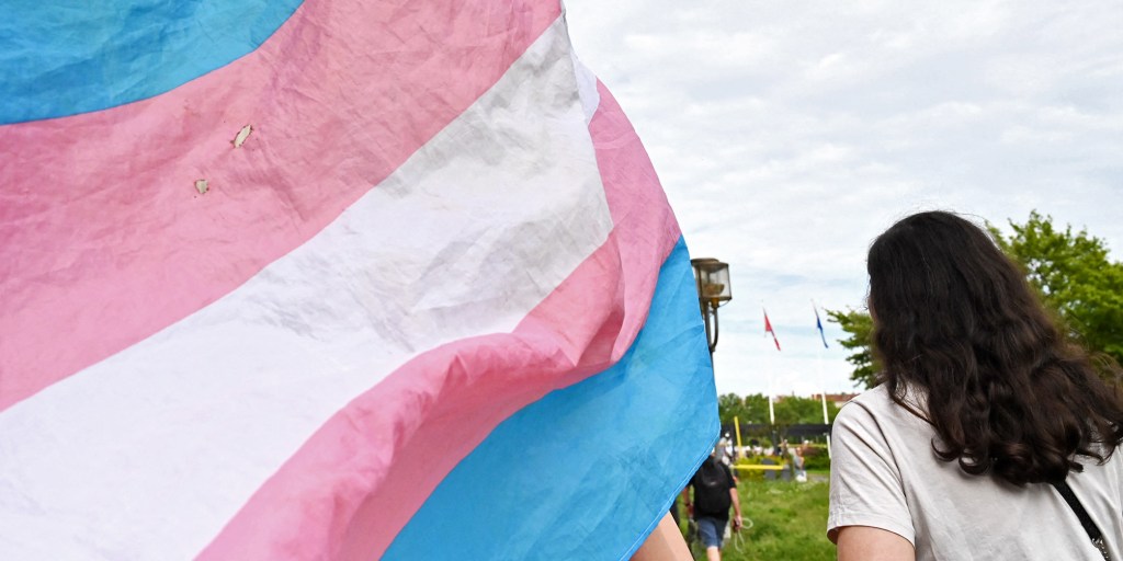New Zealand halts new puberty blockers for young transgender people