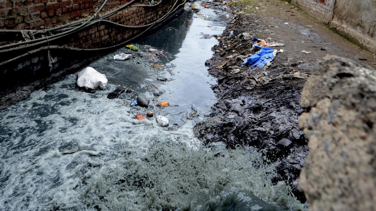 High levels of chromium, mercury in residents, NGT directs U.P. govt. to map affected people