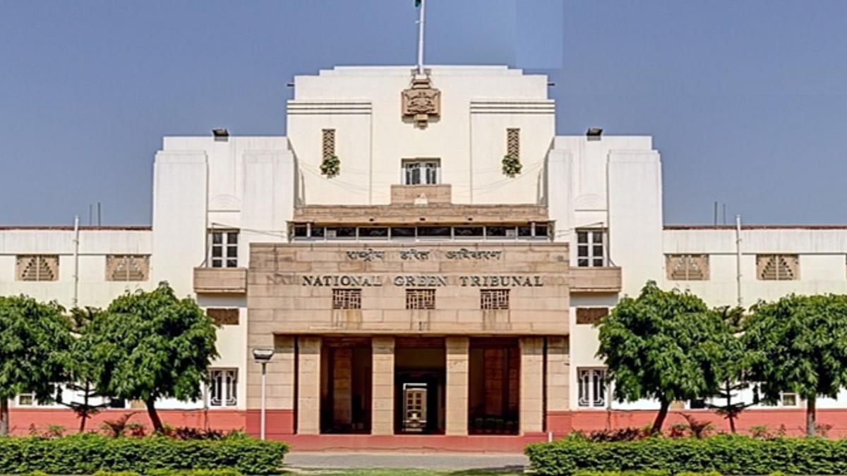 NGT directs Environment Ministry to review environmental clearance for Gurugram housing project