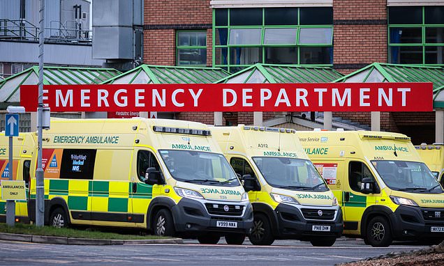 NHS braced for worst winter with thousands of flu deaths and a strike