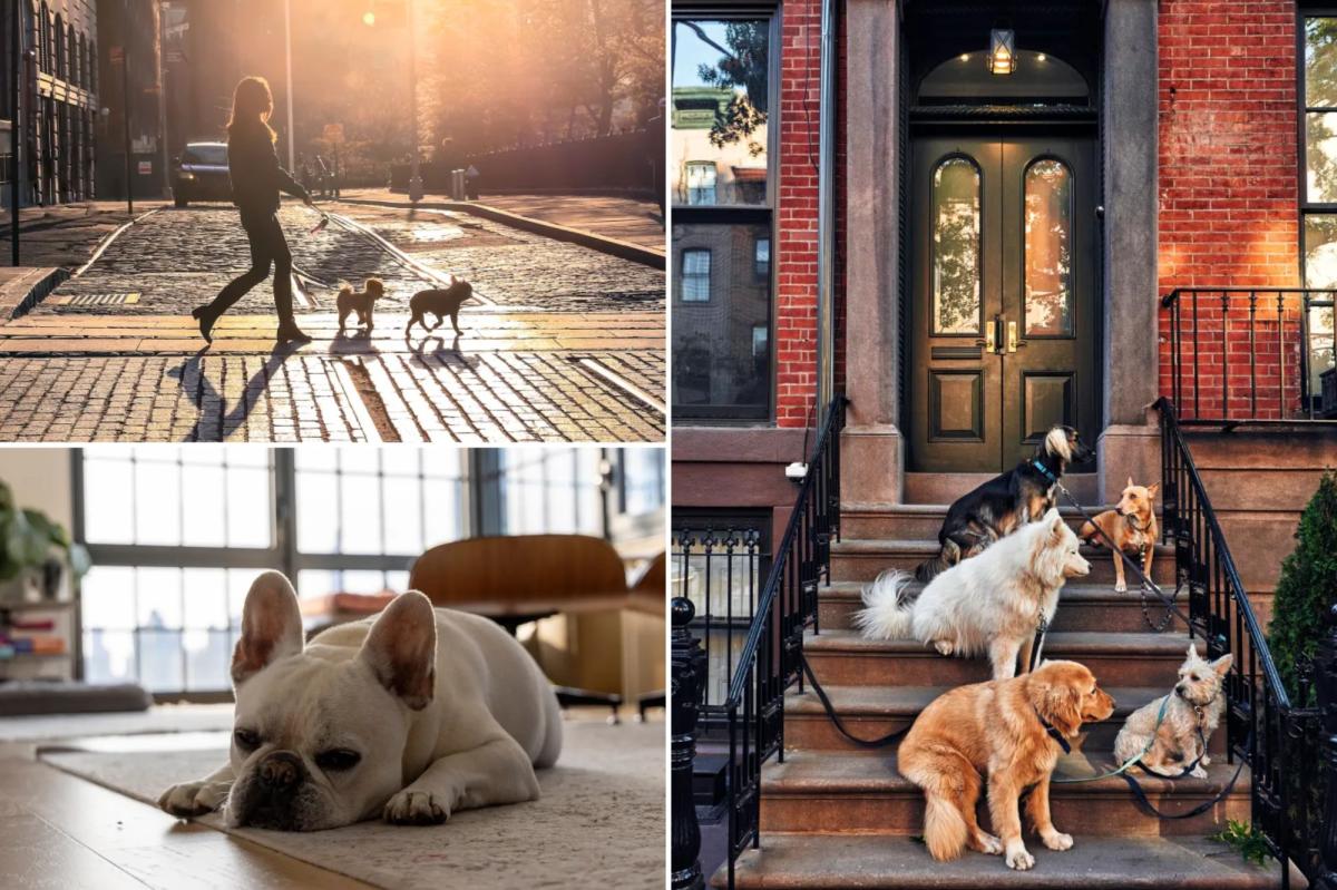 NYC renters with pets get slapped with over $800 in mandatory fees...