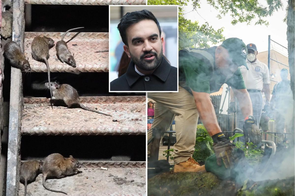 Exclusive | NYC residents demand new 'rat czar' when Mamdani takes office:...