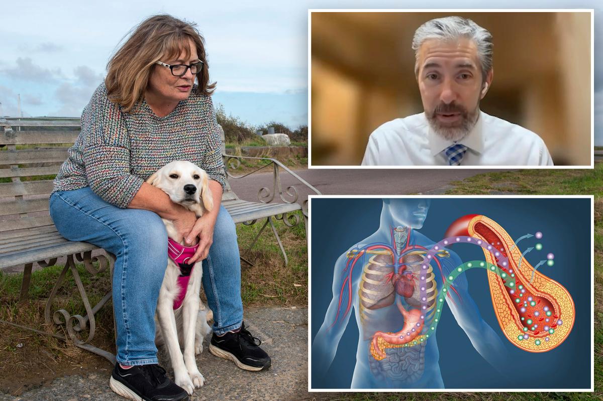 Ohio family claims dog detects deadly blood sugar crashes in diabetes...