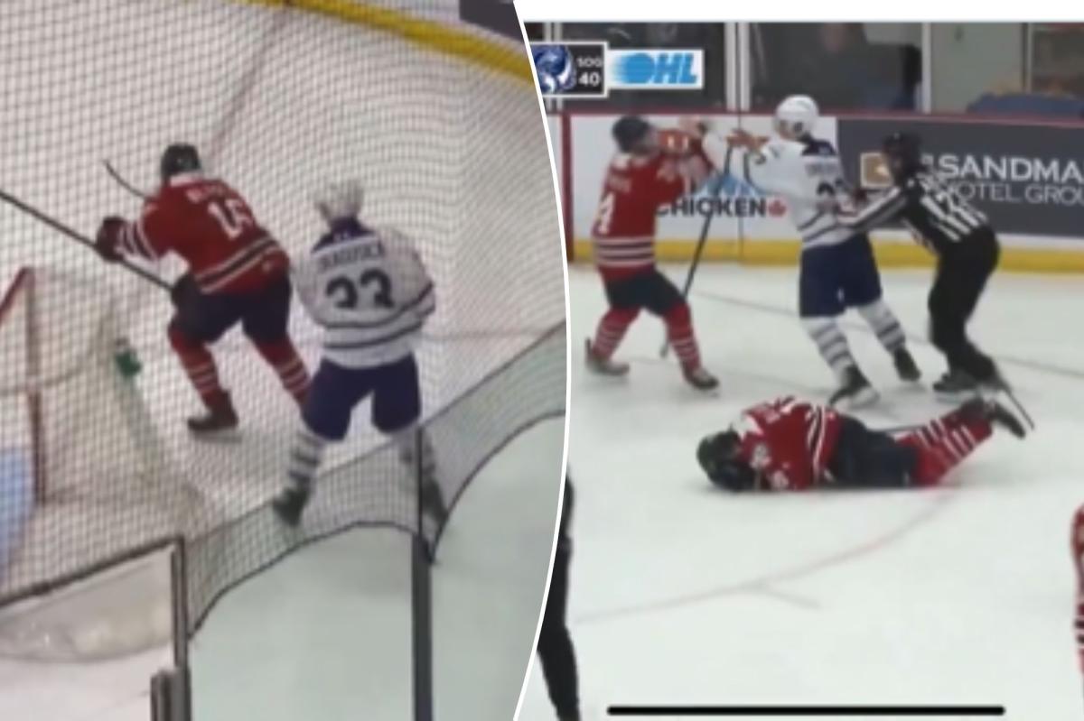 OHL player suspended for year after using 'stick as a weapon' to...