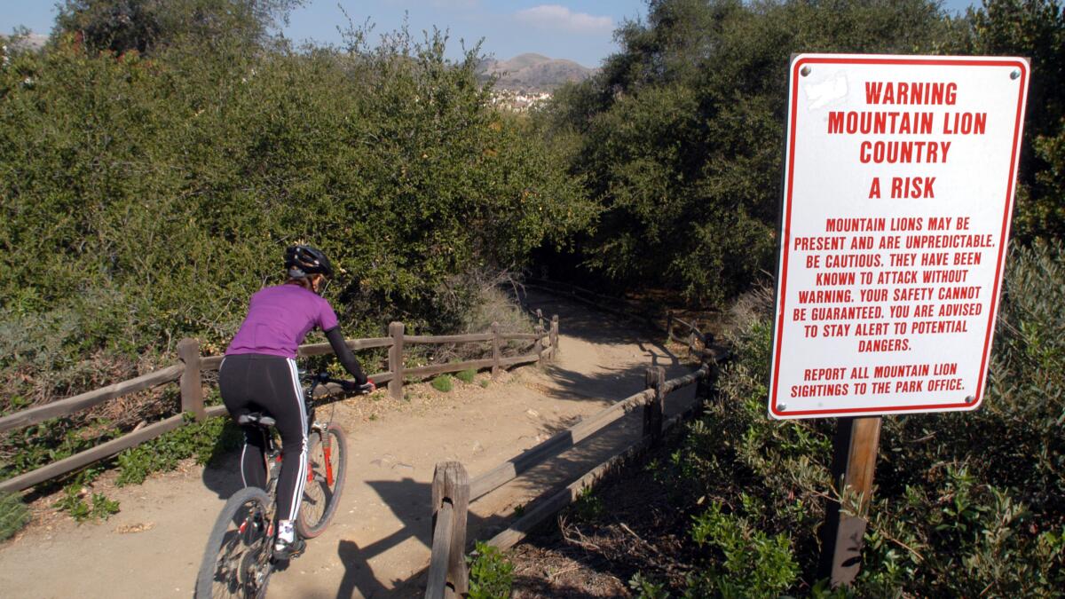 Mountain lion sightings prompt closure of Orange County park