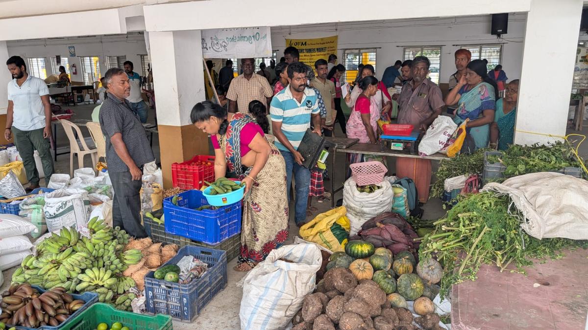 Organic Farmers Market concept hits T. Nagar