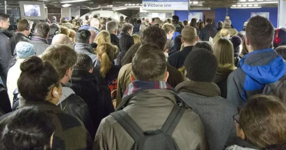 Tragedy after person hit by London Underground train at busy station