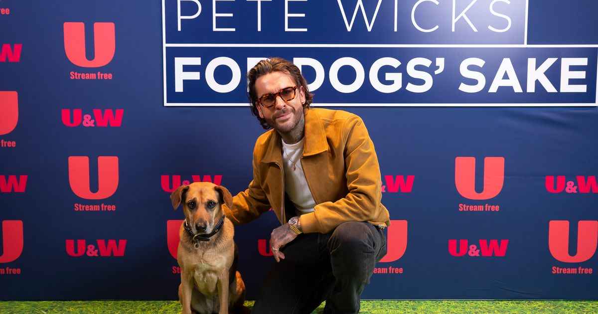 Pete Wicks' dog show drives increase in adoptions as Christmas episode announced - The Mirror