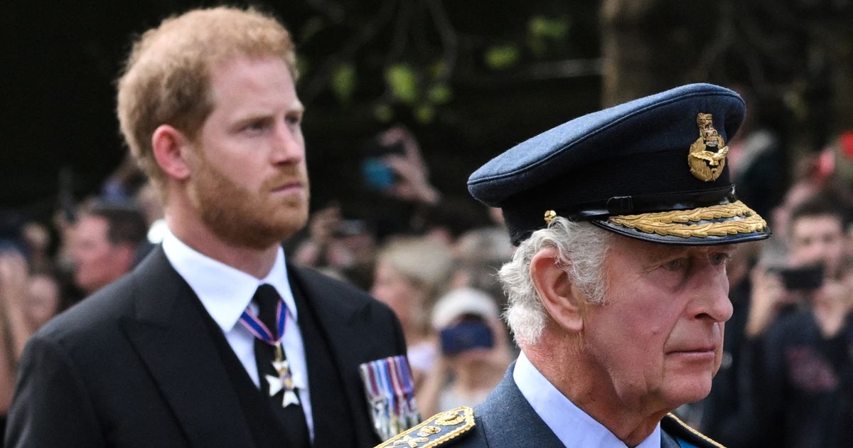 Prince Harry's fresh blow in royal feud as King Charles has 'another priority' - The Mirror