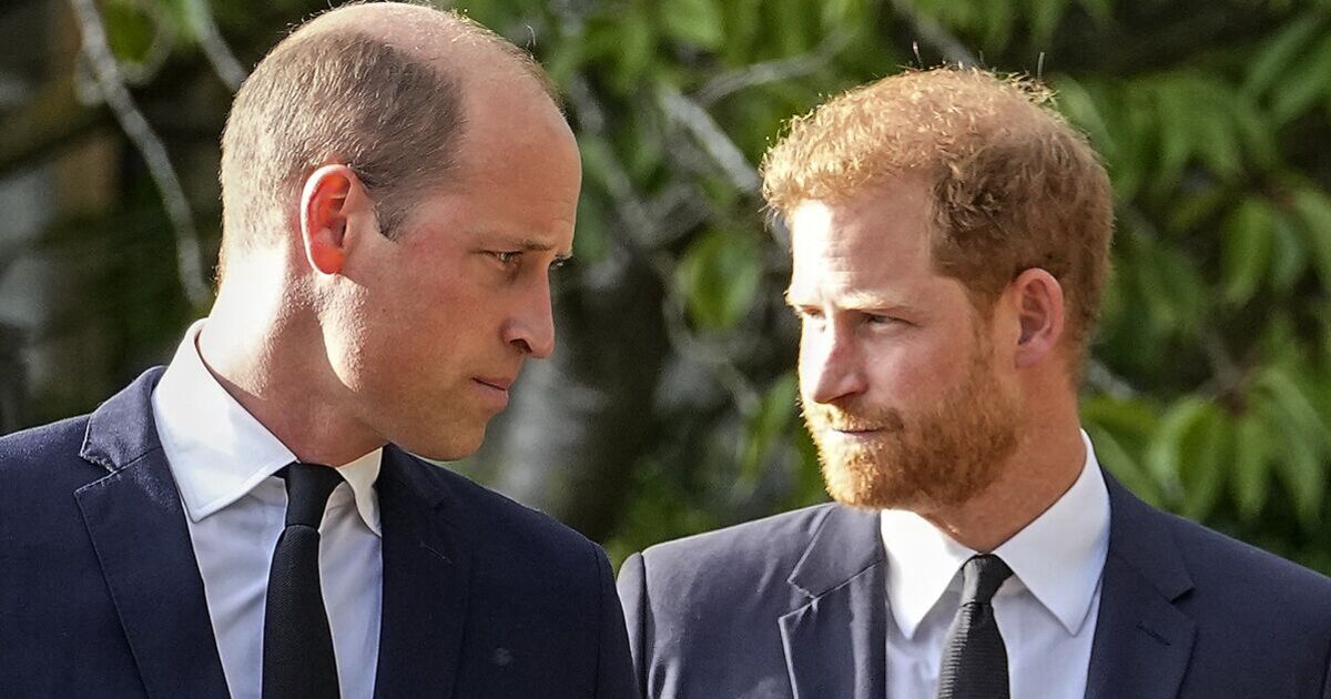 The 'exact moment' Prince William and Prince Harry's relationship turned sour