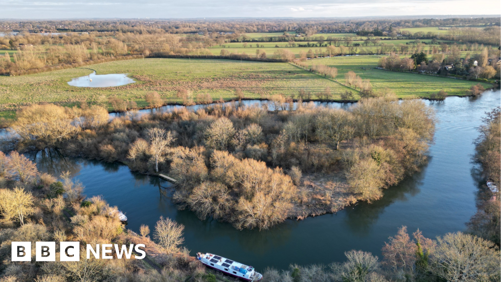 Private island Hallsmead Ait in River Thames to be auctioned off