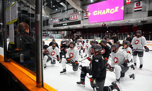 PWHL considers options including relocating Ottawa Charge over...