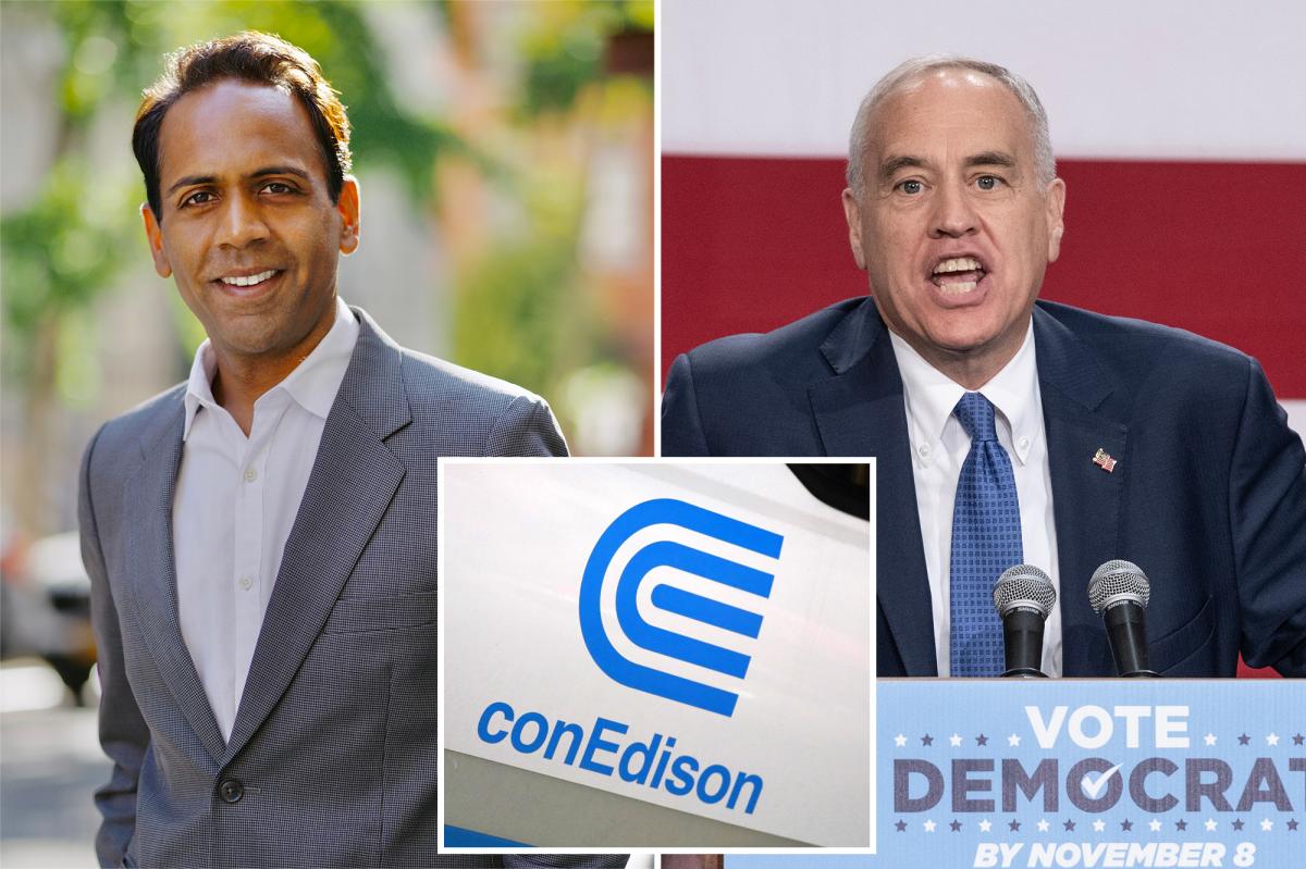 Exclusive | NYS Comptroller candidate Raj Goyle wants to take utility hikes out...