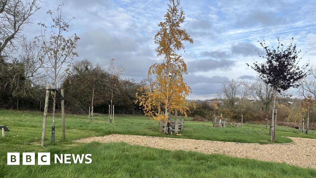 Remembrance event trees stolen from burial ground