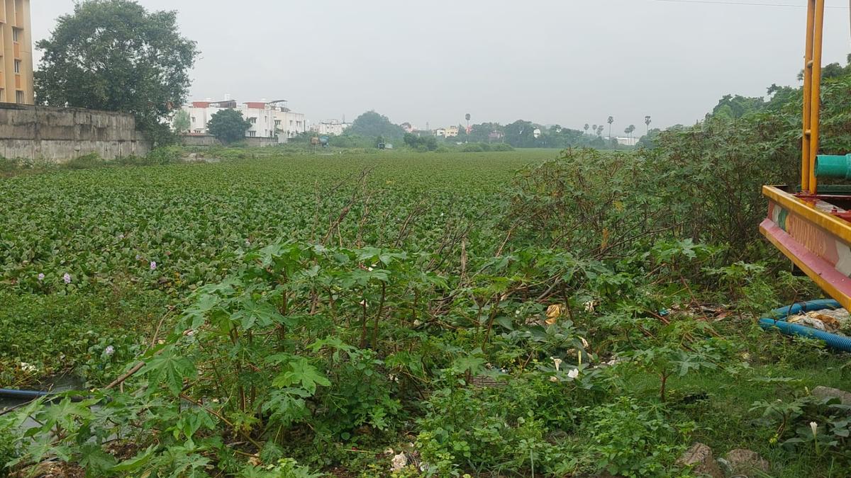 Improve surplus courses of lakes in Medavakkam to prevent floods, say residents