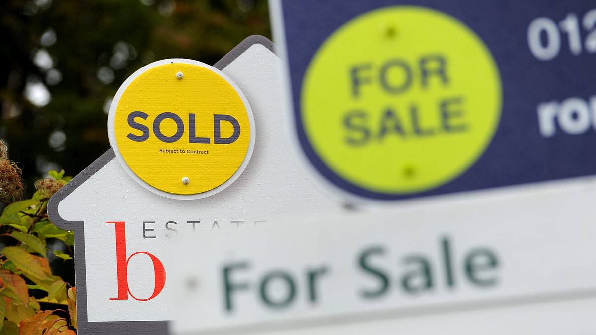Rightmove shares plummet as bosses bet big on AI in major shake-up