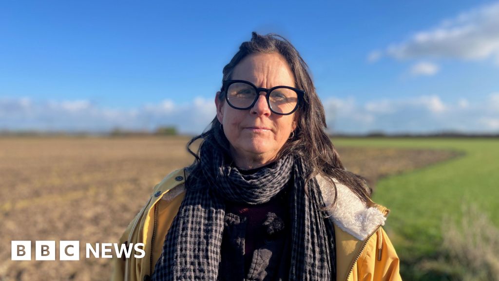 Romney Marsh solar park plans questioned by campaigners