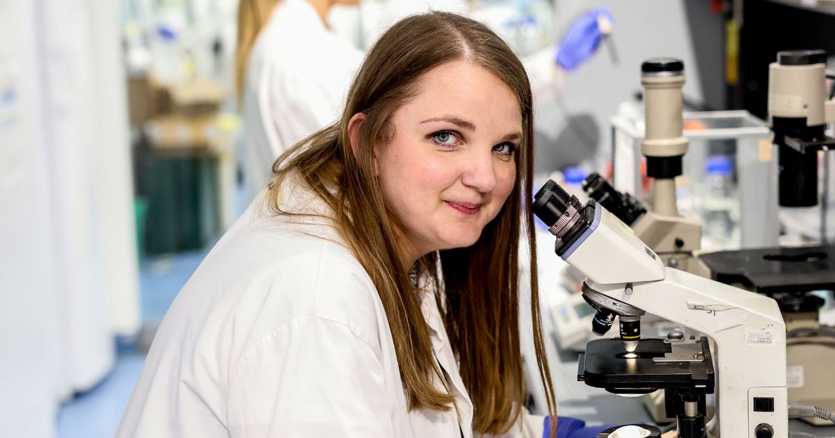 Inside real-life Alzheimer's lab as scientists grow tiny brains to stop disease - The Mirror