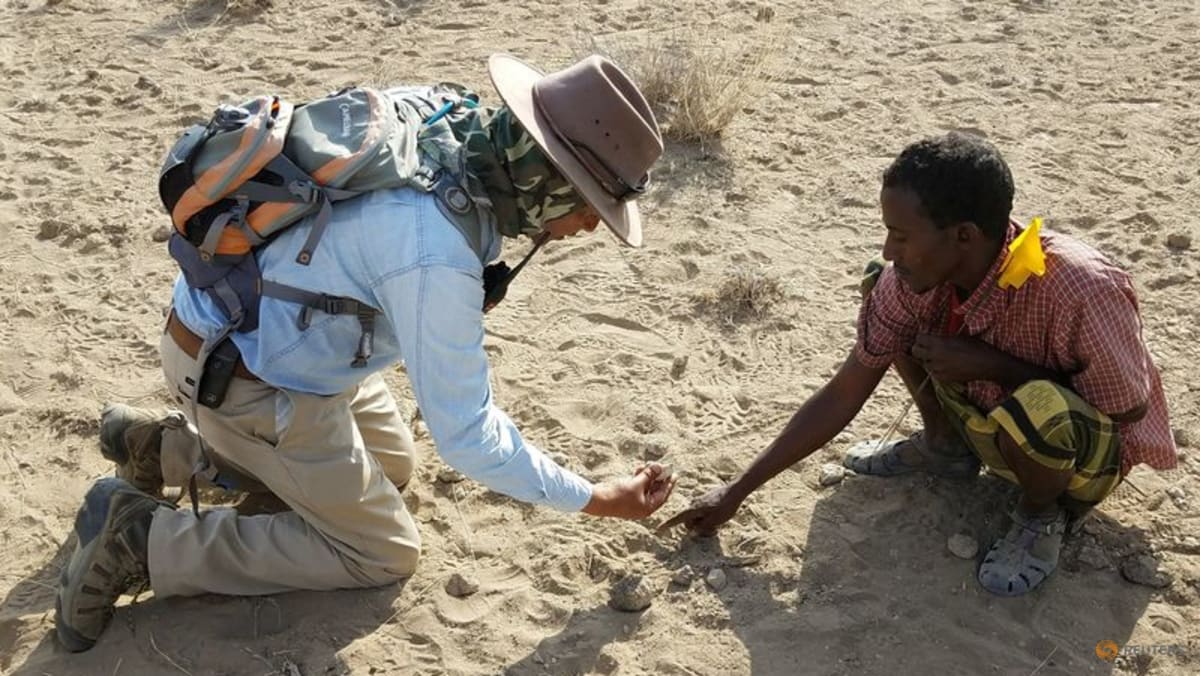 Scientists solve the mystery of the prehistoric 'Burtele Foot'