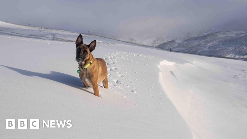 Date set for Scotland's new avalanche forecasting season