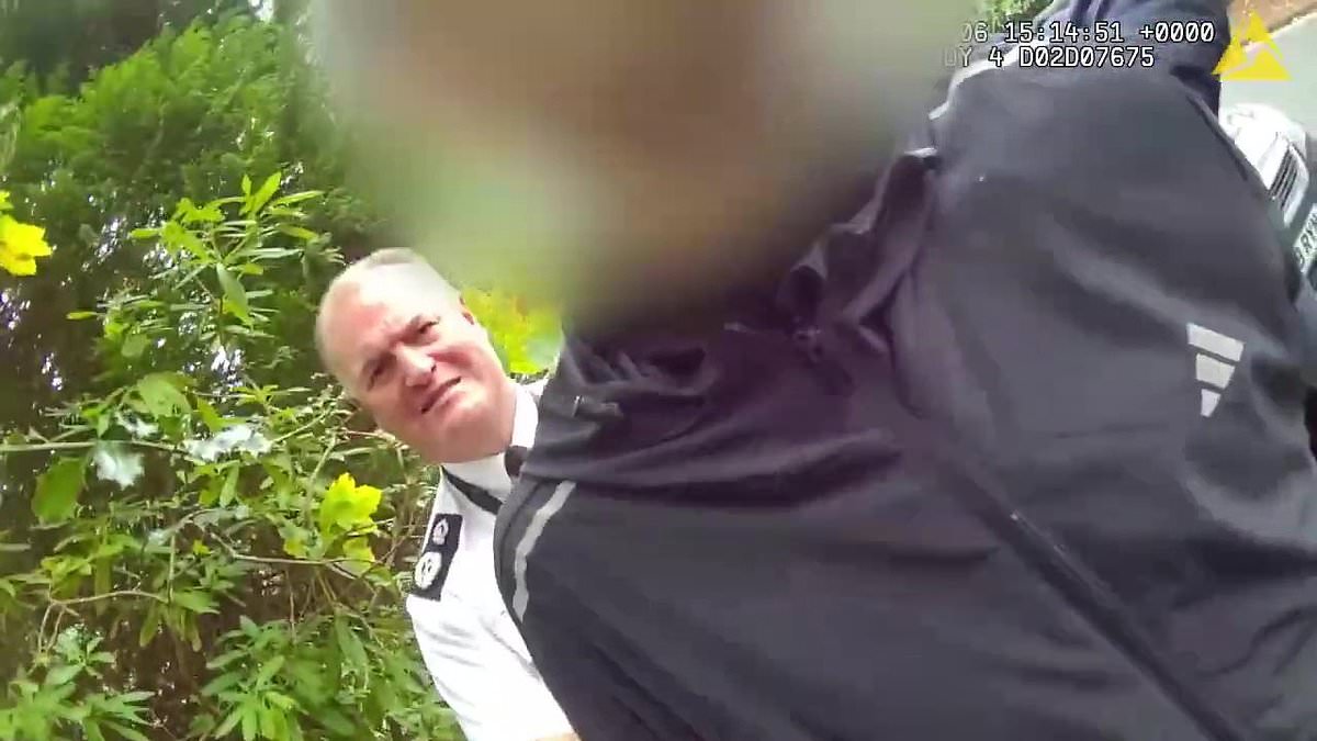 Shoplifting suspect's runs into police chief after getaway chase