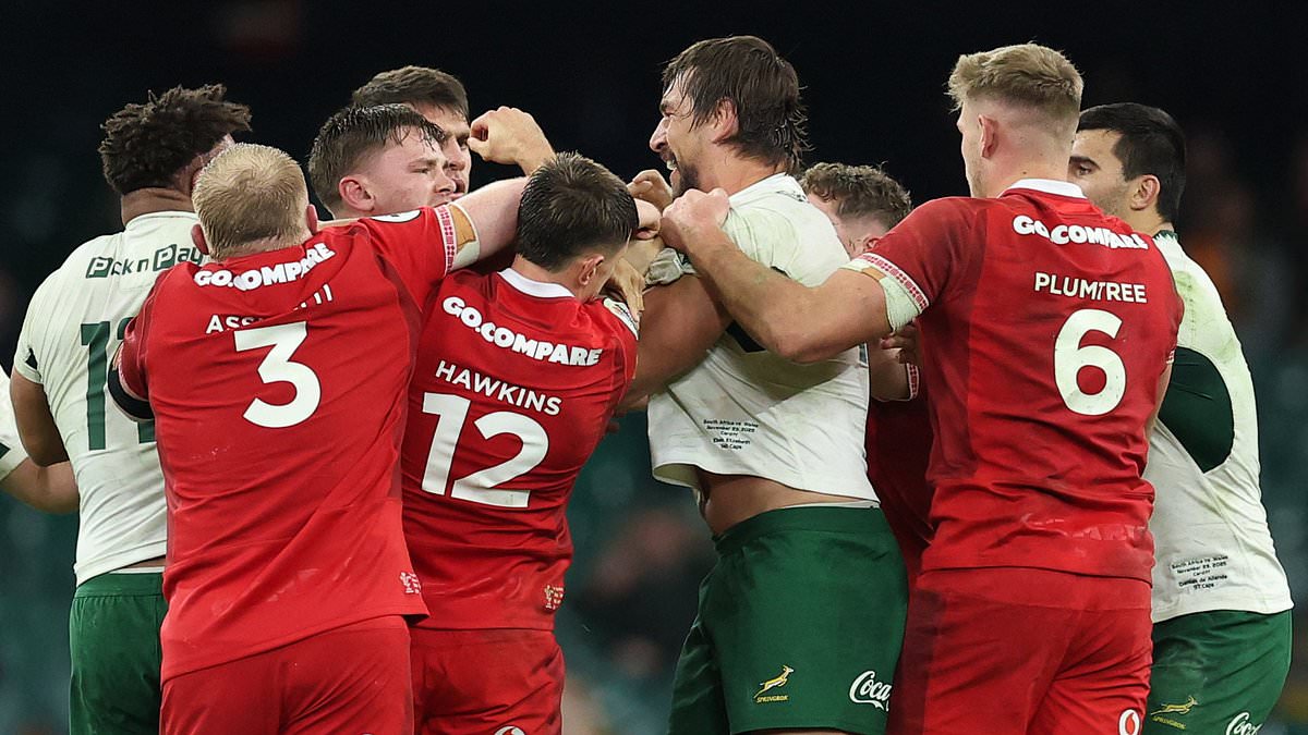 South Africa rugby legend faces a 12- WEEK ban after eye gouge