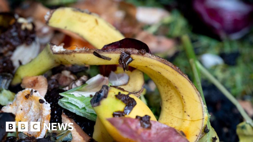 Stoke-on-Trent to introduce food waste collections in 2026