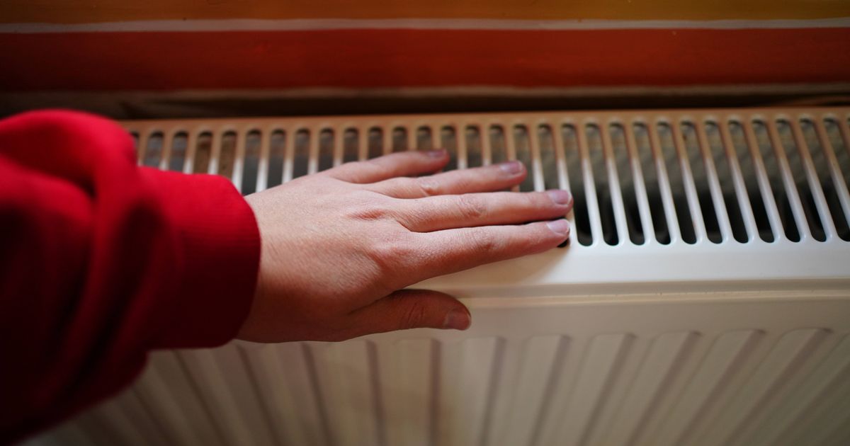 I stopped my radiators from making loud banging noises in minutes with 97p tool - The Mirror