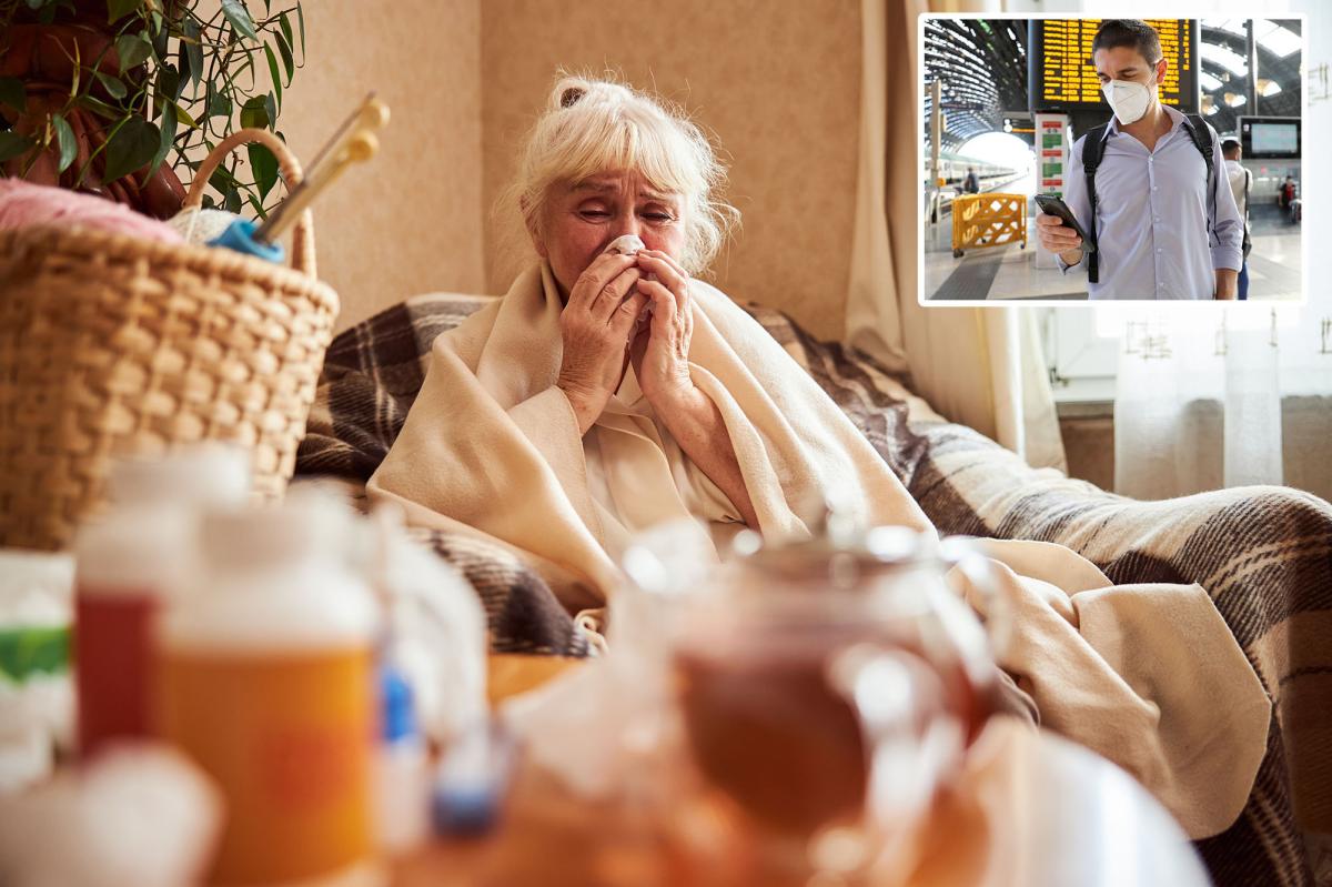 The 'subclade K' flu strain that's causing spikes in the UK and...